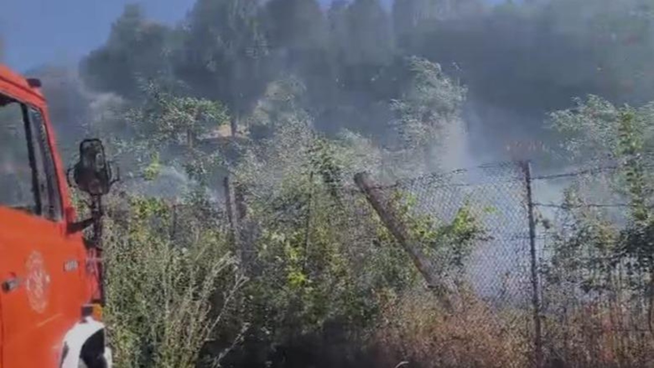 Zjarr i madh në Lazarat  Flakët rrezikojnë shtëpitë e banorëve