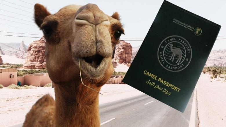 Arabia Saudite lëshon pasaporta për devetë  ja cila është arsyeja 