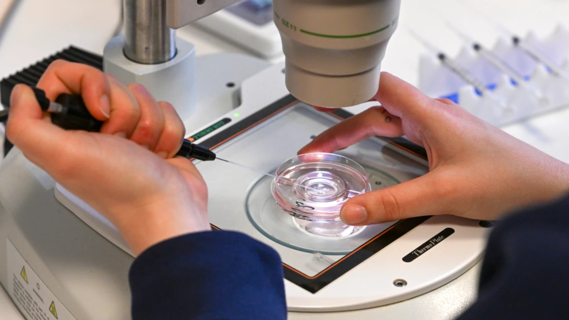 SCANDAL/IVF clinics fertilize with the wrong sperm in these families...