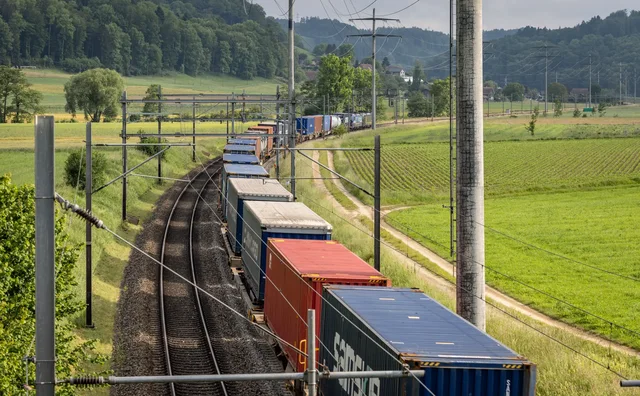 500-kile-kokaine-perfundojne-ne-nje-fabrike-tre-shqiptaret-humben-gjurmimin-e-kontinjerit-ja-si-u-zbulua-droga