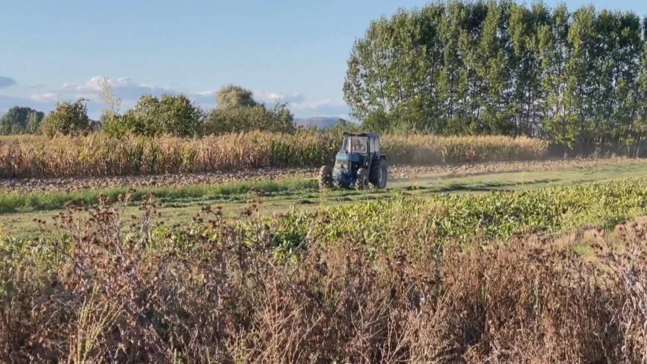 me-shume-toke-me-pak-para-instat-fermeret-punuan-siperfaqe-me-te-medha-por-fitimet-ishin-me-te-uleta