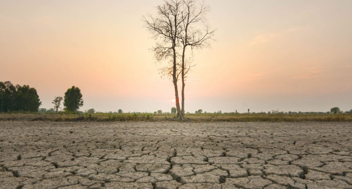pergatituni-fenomeni-el-nino-kthehet-ne-maj-si-do-te-ndikoje-ne-parashikimin-e-motit
