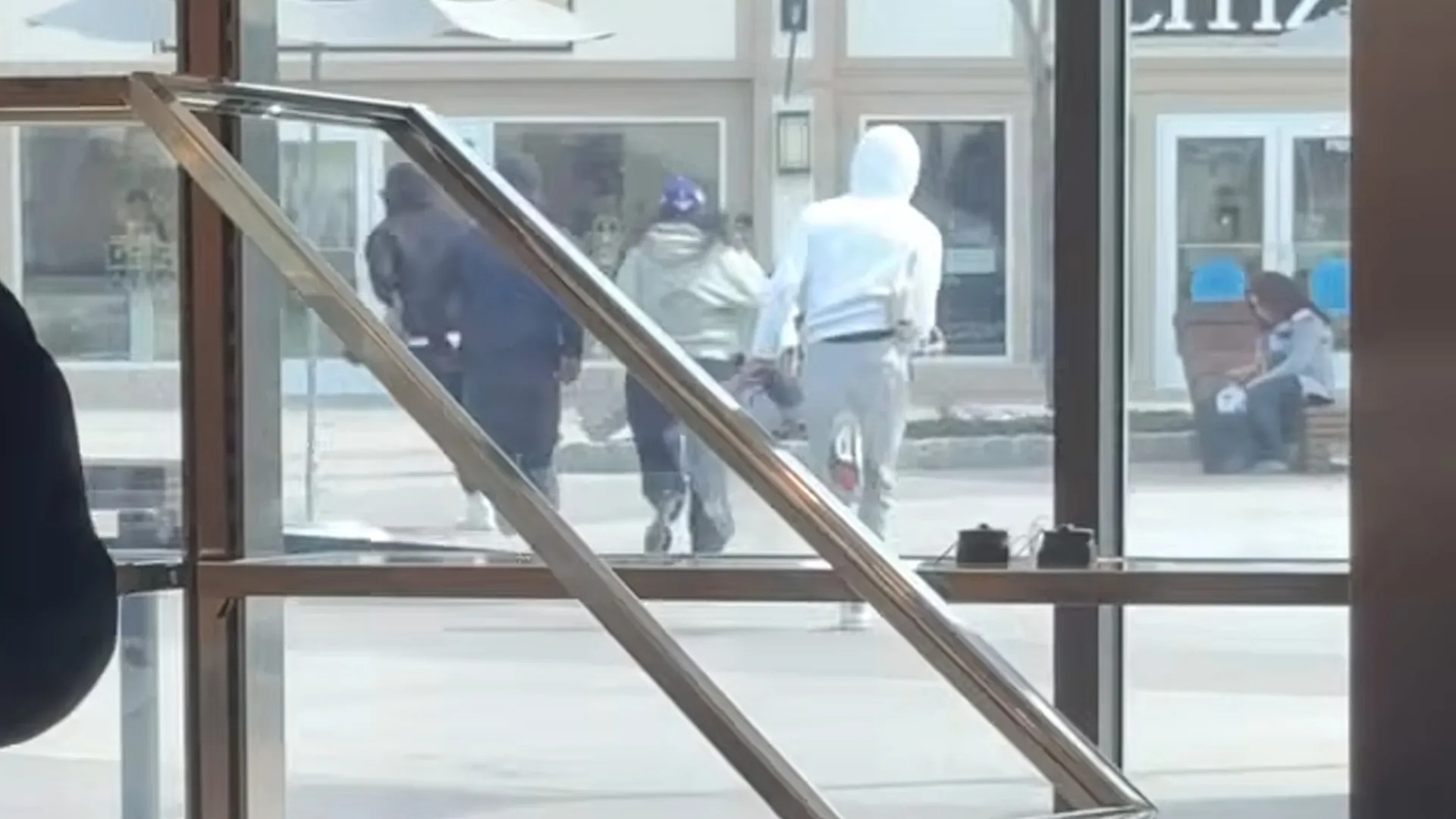 video-grabitesit-mes-tyre-nje-grua-hyjne-ne-dyqanin-e-njohur-dhe-vjedhin-12-canta-luksoze-gucci