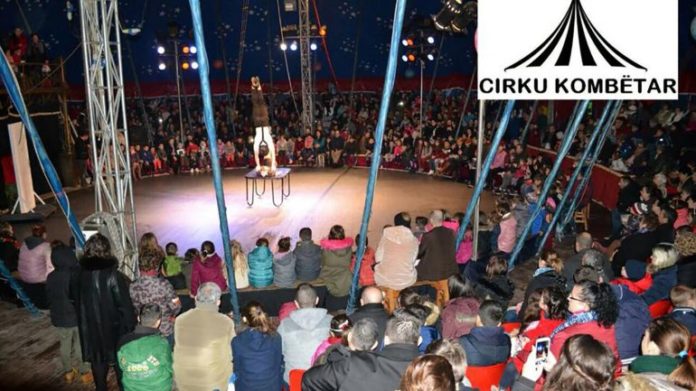 12-vjecarja-u-plagos-gjate-numrit-akrobatik-cirku-kombetar-tregon-detajet-se-si-ndodhi-aksidenti