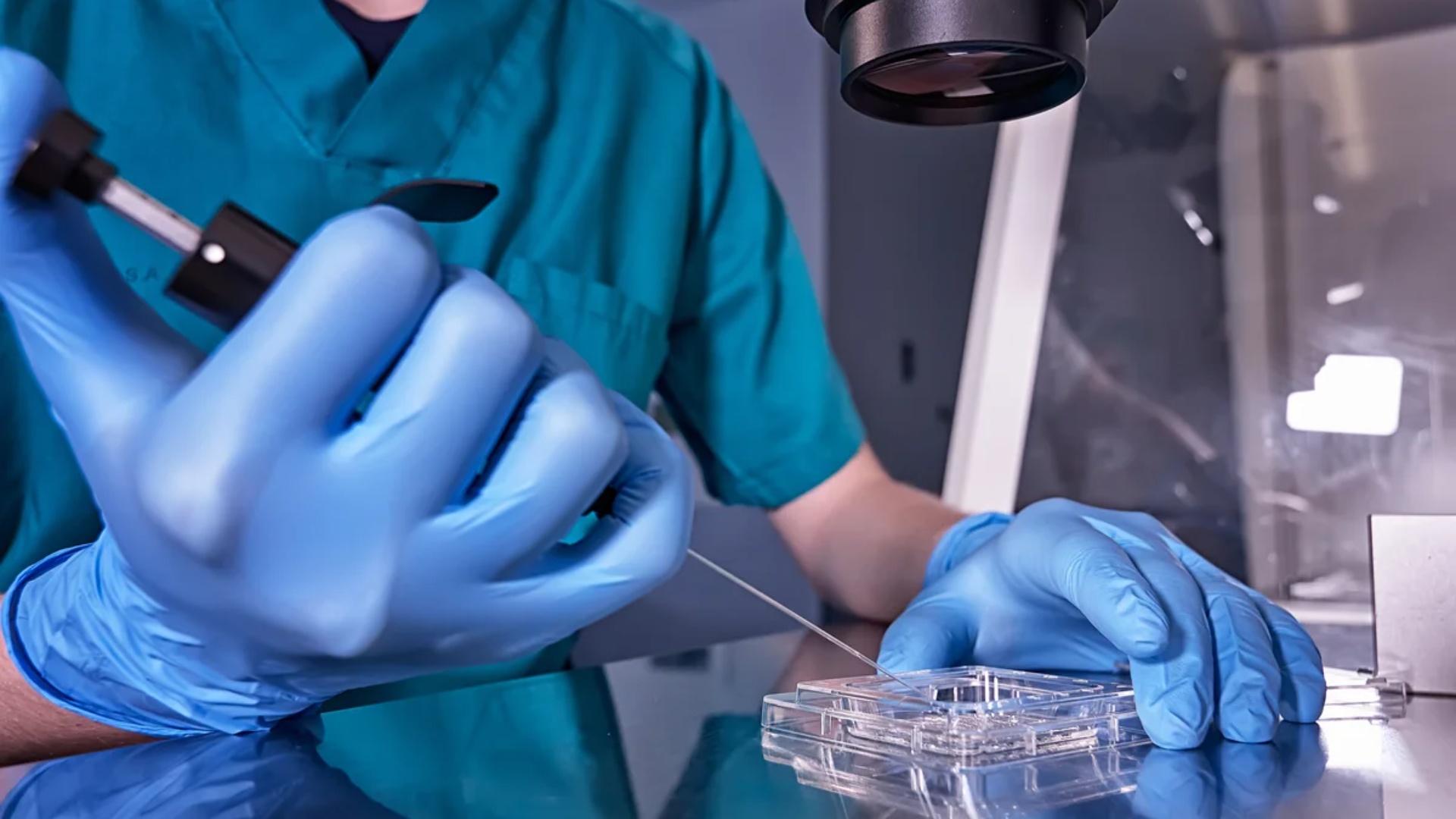 mjeket-paralajmerojne-se-stresi-i-perditshem-po-ul-fertilitetin-mashkullor-dhe-po-demton-shume