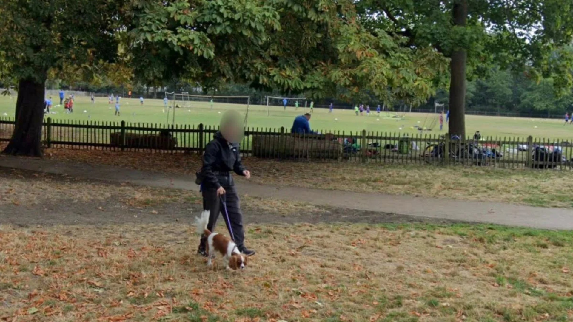 ALARM/Dead mouse thrown in parks and endangers dogs!