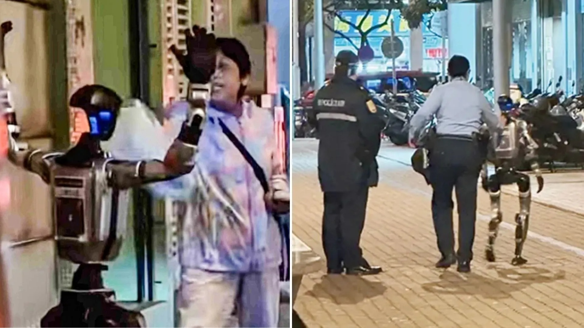 video-behet-virale-ne-rrjet-ngacmoi-nje-grua-arrestohet-roboti