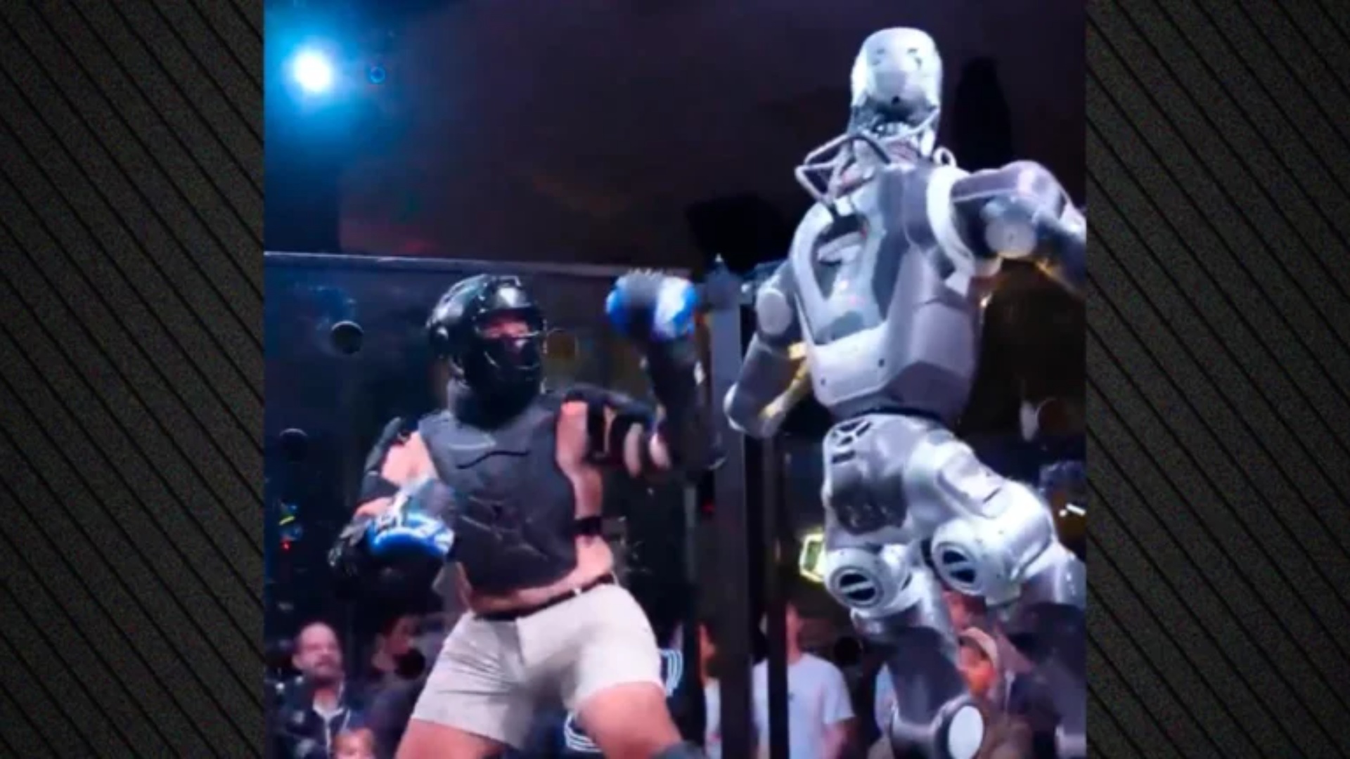 video-njeriu-perballe-robotit-terminator-influencuesi-futet-ne-ring-ne-nje-duel-te-pazakonte