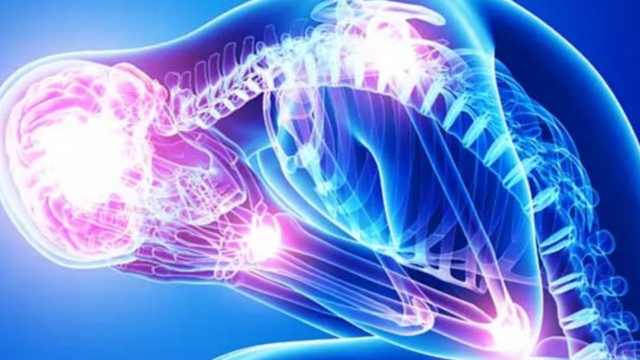 si-ankthi-zhvendoset-ne-trup-dhe-shfaqet-si-dhimbje-barku-lodhje-dhe-rrahje-zemre