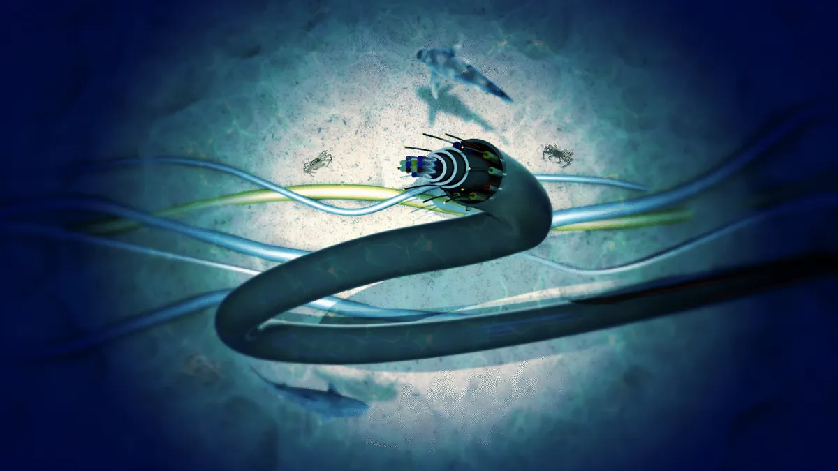 nuk-do-arrini-ta-besoni-dot-a-e-dini-se-nga-se-demtohen-kabllot-nenujore-zbulojeni