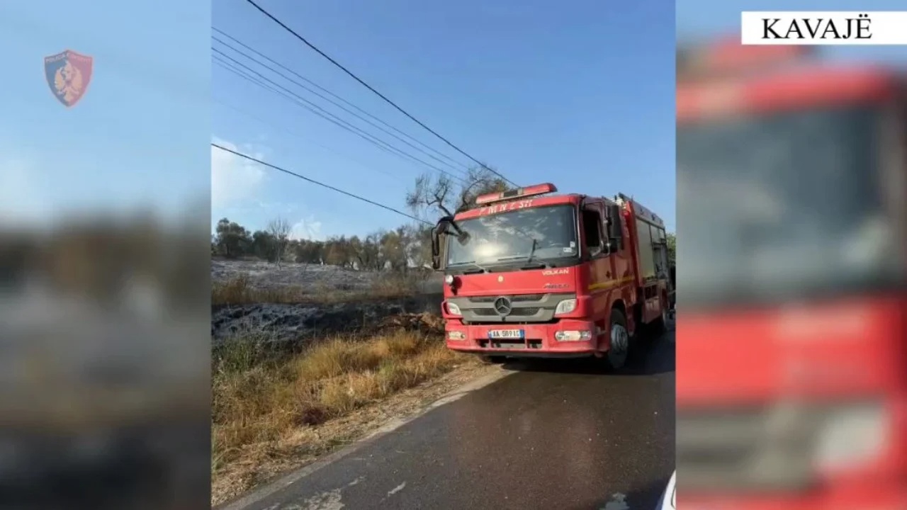 Zjarri përfshiu një sipërfaqe të madhe toke me pemë frutore  arrestohet autori në Kavajë