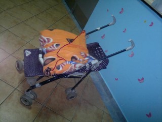 Karroca me foshnjën e braktisur