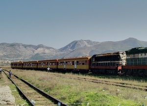 treni perplas makinen