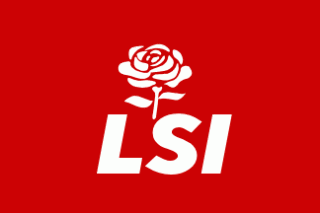 logo lsi
