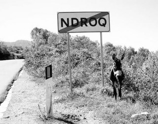 ndroq