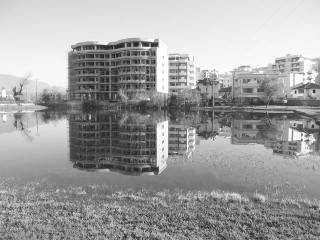 pallate