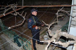 vrasja ne gjirokaster, policia