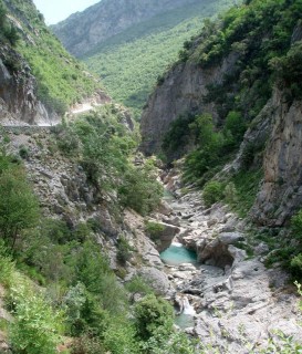 Shkalla e Tujanit