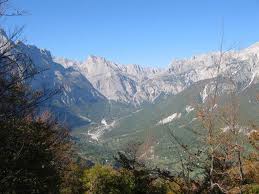 images (7)