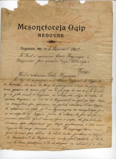 shkresa e petro nini luarasit