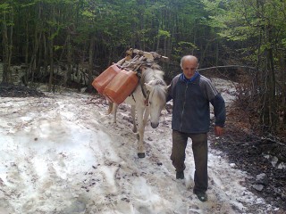 thethi 29 maj 2013 (1)