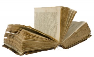 Liber i vjeter - foto ilustruese