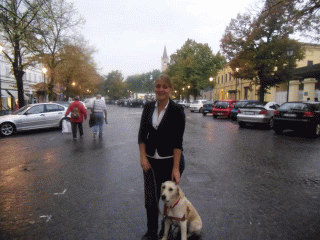 kedrit-shalari-me-qenin-e-saj-Vera