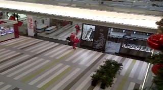 Grabitja e babagjysheve (2)