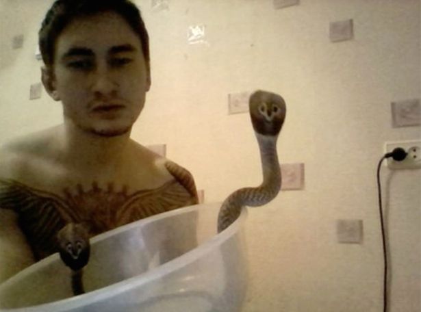 PAY-Russian-man-killed-by-King-Cobra (2)