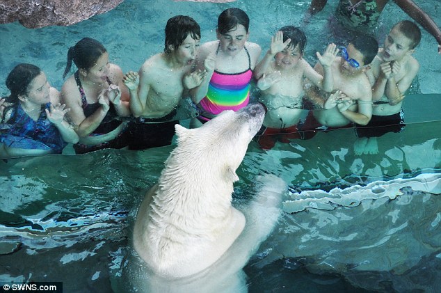 306A1A7F00000578-0-image-a-46_1453375639950