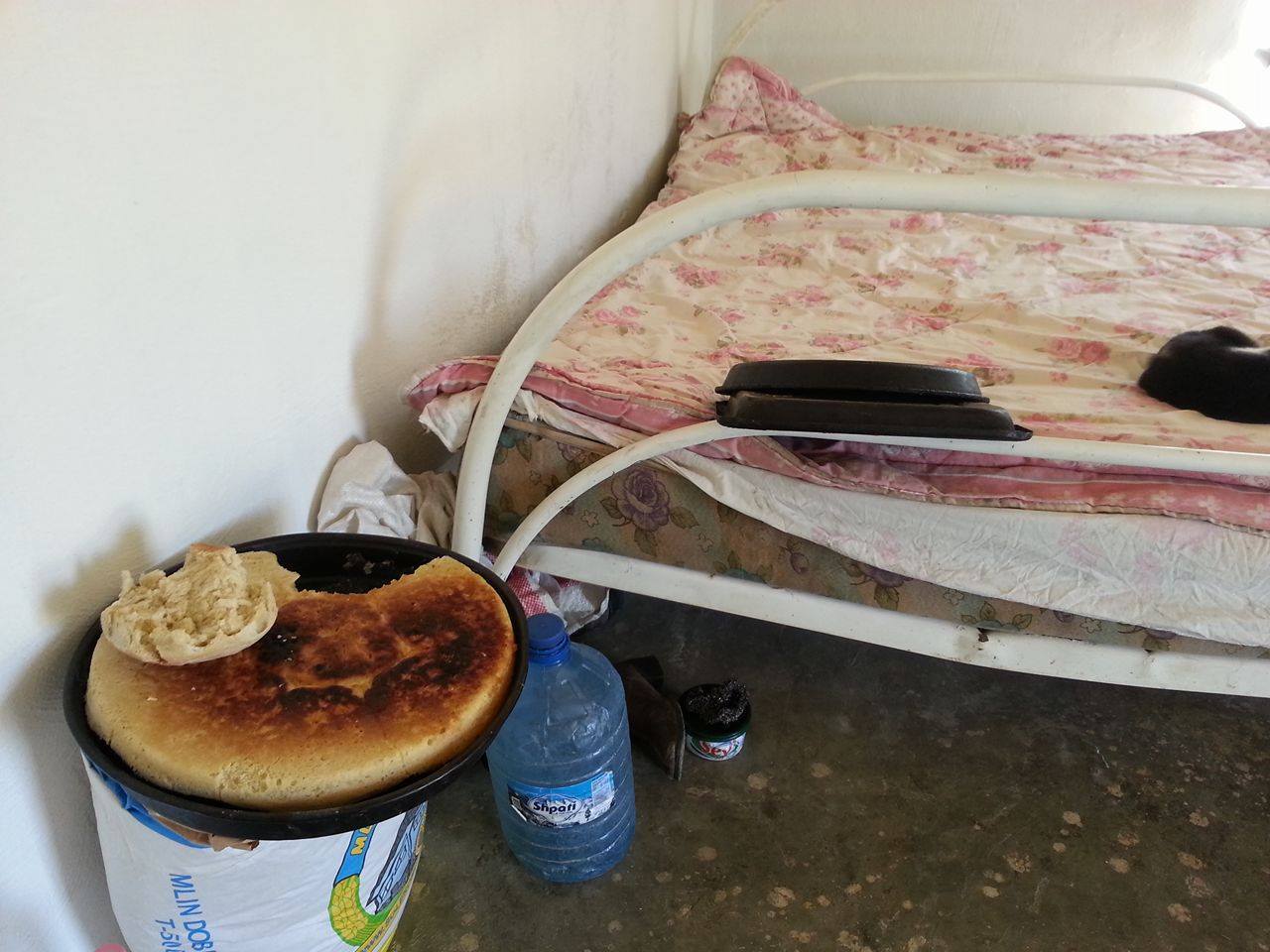 lenci-3_1461240940-6514166